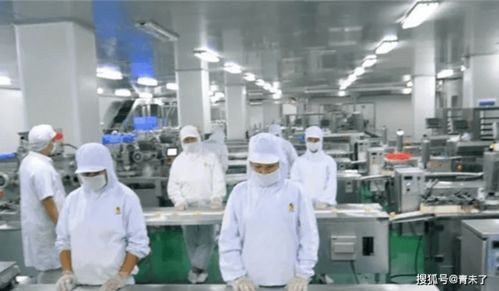 食品厂霉菌控制与互联网销售的安全管理策略