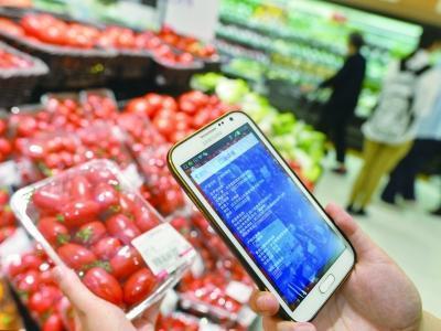 给食品销售插上“互联网”的翅膀 刘先玲与中国食品销售网的创新之路