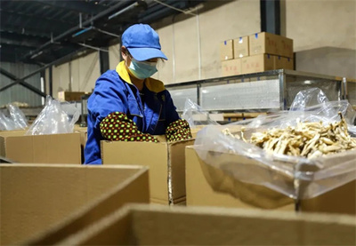 玉屏 市场需求旺，菌棒生产忙，食品互联网销售助农增收